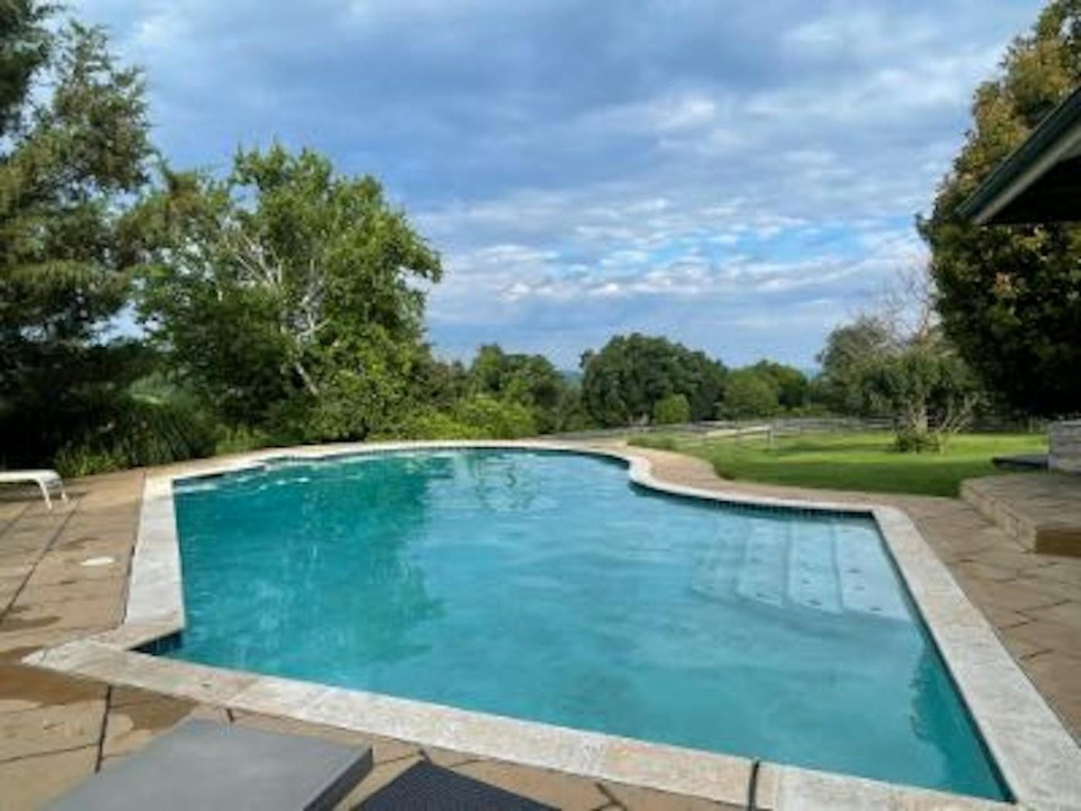 The pool on a summer day