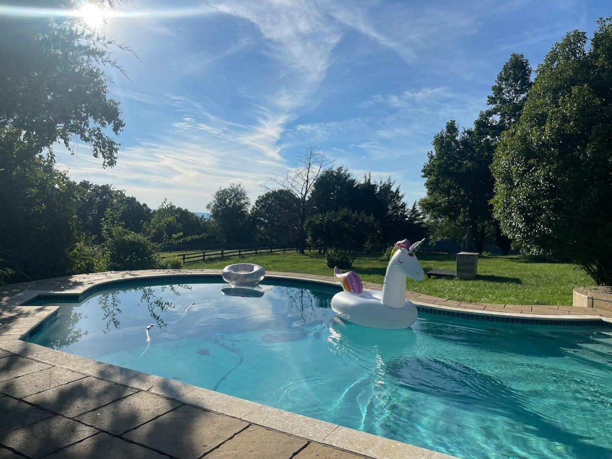 Unicorn float in the pool